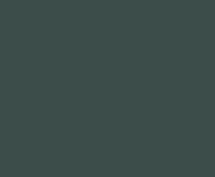 dark green shape